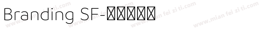 Branding SF字体转换